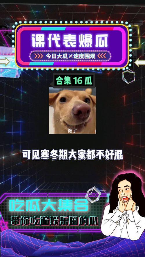 娱乐八卦吃瓜全集,揭秘明星幕后故事，吃瓜全集大揭秘